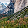 Exploring Yosemite National Park: A Comprehensive Overview