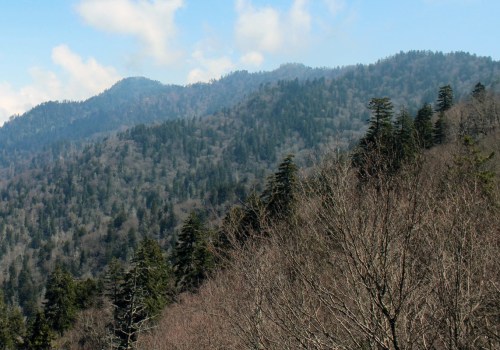 Exploring Great Smoky Mountains National Park