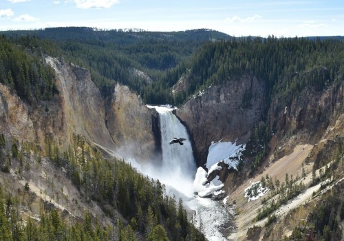 Exploring Yellowstone National Park: A Comprehensive Overview